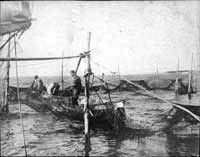 inspecting collecting nets