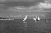 knockabout race