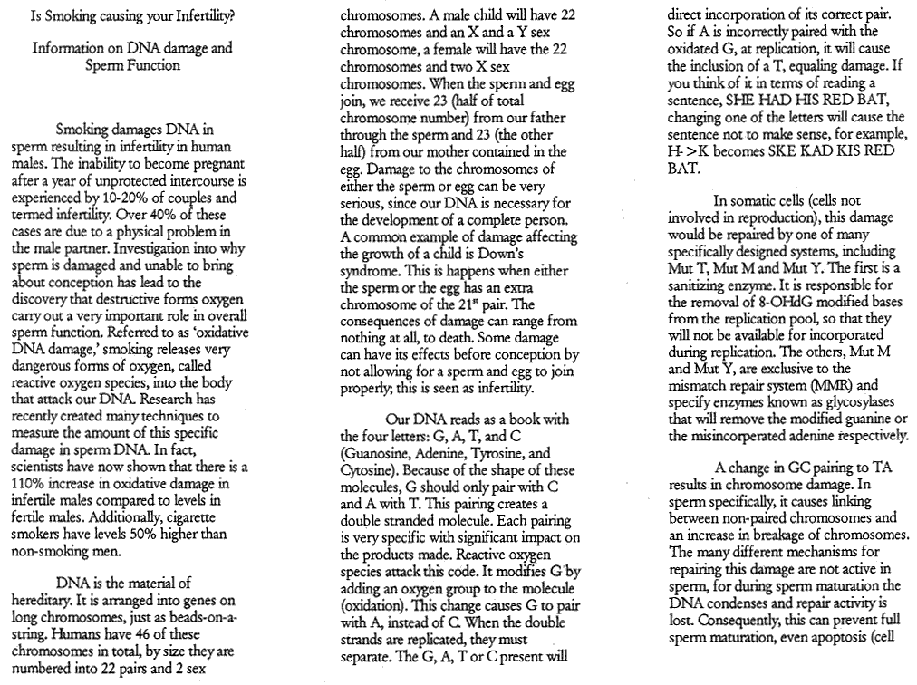 Polymyxa Betae Classification Essay