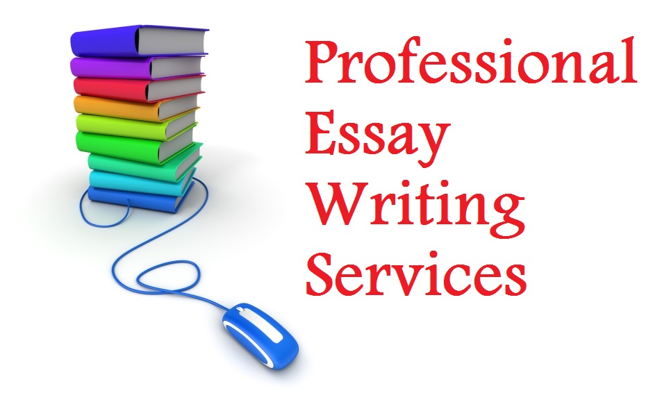 How To Make An Essay Writing