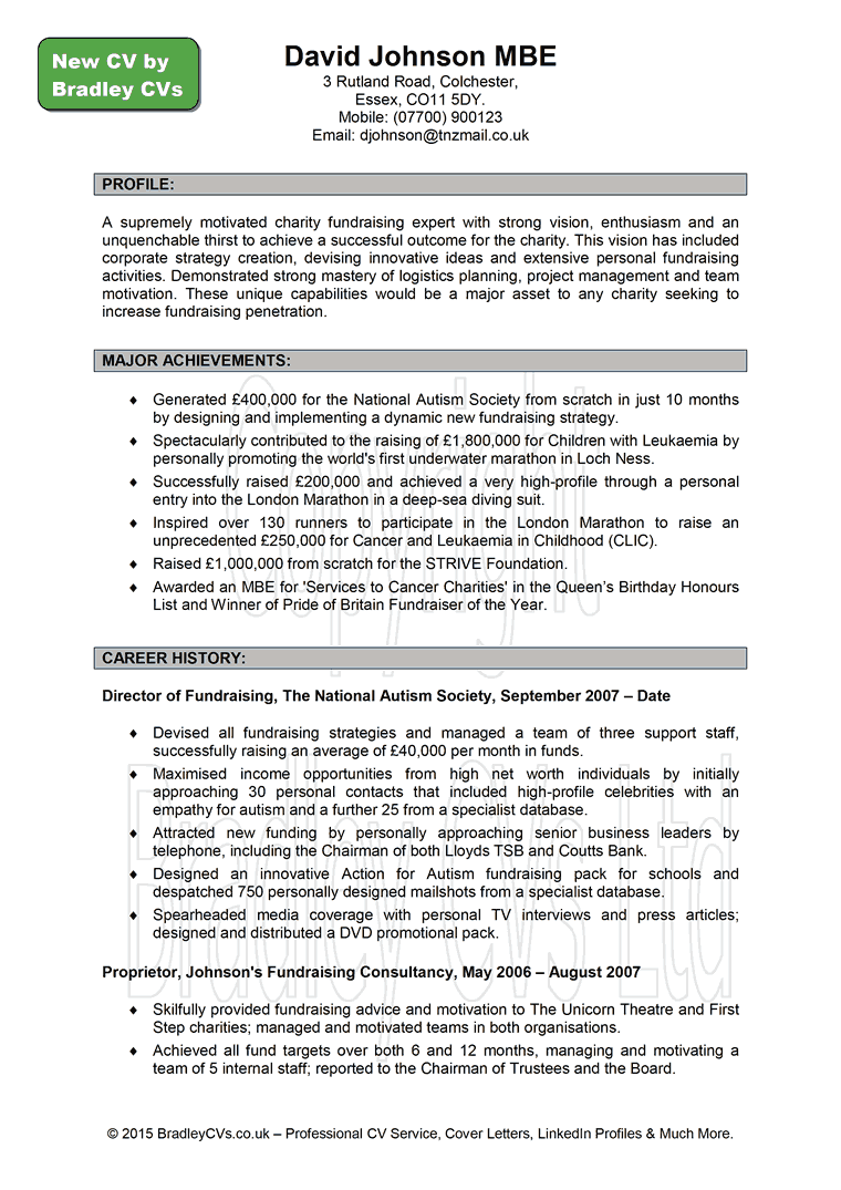 Professional Curriculum Vitae Professional Cv Template Uk - Contoh