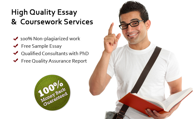 Best essay writing services