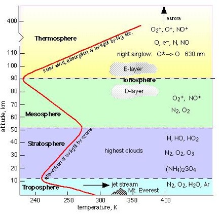 Chemical composition of cells lab report