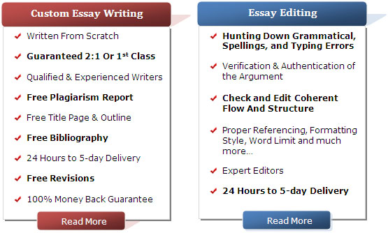 Custom essay writer