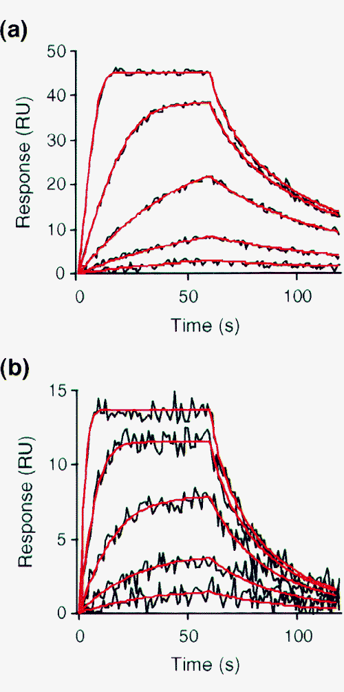 Data analysis program