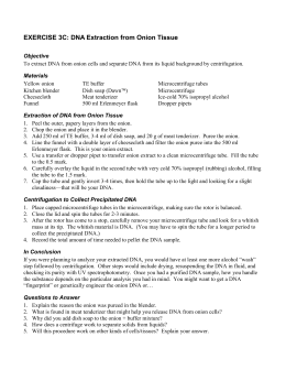 Dna extraction lab report