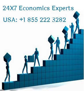 Economic homework help