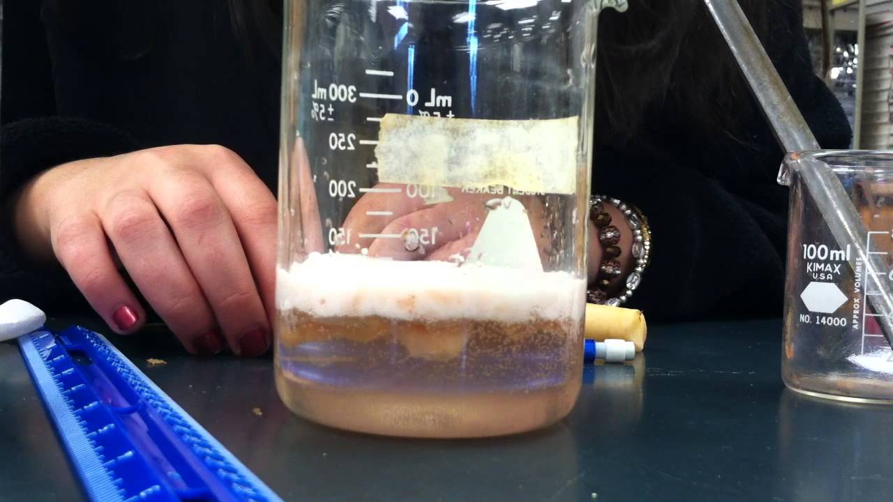 Enzyme catalysis lab report