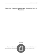 Enzyme lab report