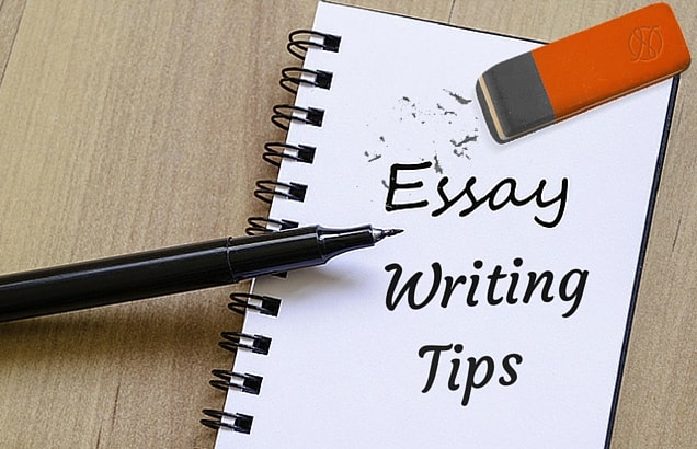 There is no prescribed way to write an essay or dissertation.