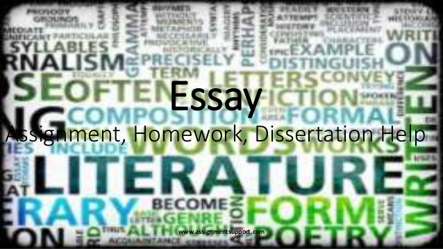 essay homework help