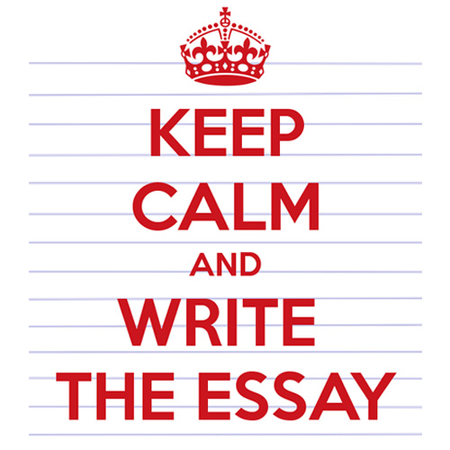 Essay writing guide