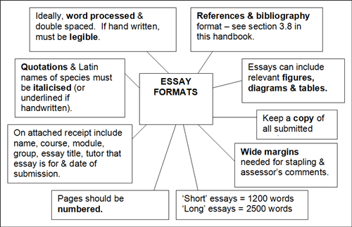 Steps in writing essay