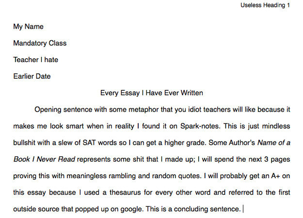 Funny college essay