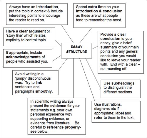 Help writing an essay