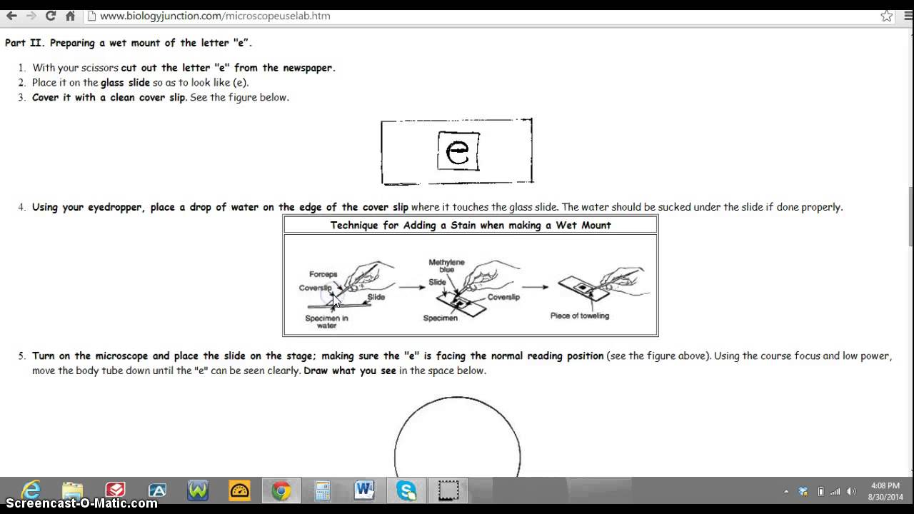 Lab report on microscope