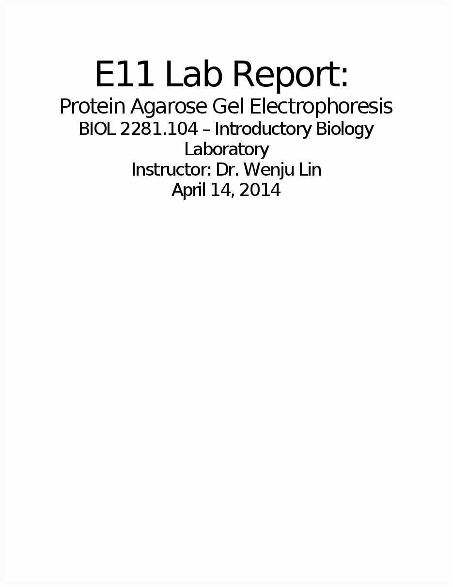 Lab report sections