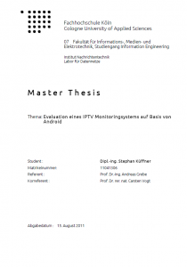 Master thesis service