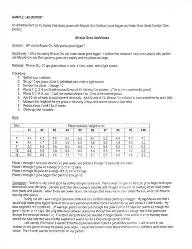 formal lab report format example