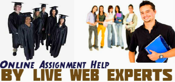 Online assignment helper