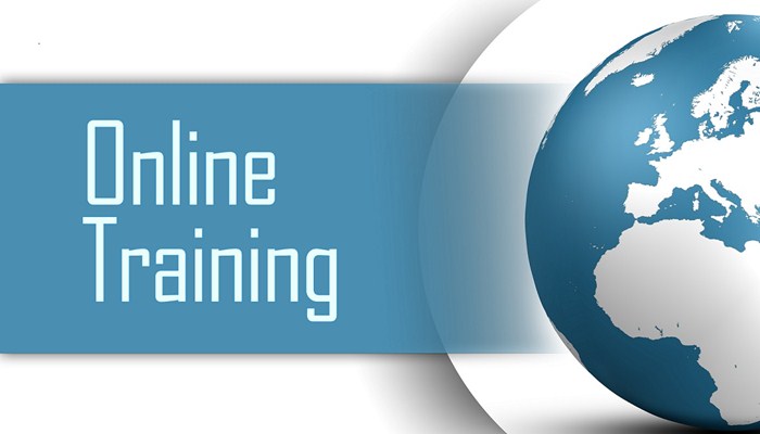 Online writing training