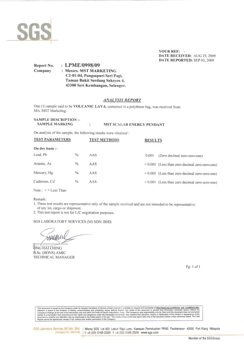 Professional lab report