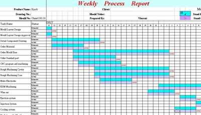 Project management schedule