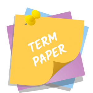 custom term paper writer