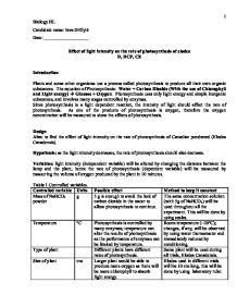 Water quality lab report