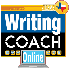 Writing coaches
