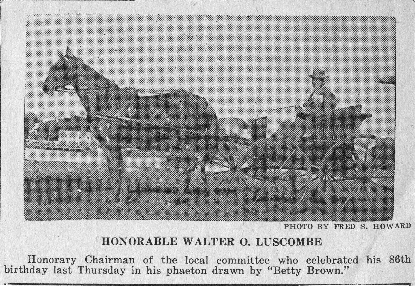 Luscombe in a carriage